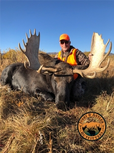 Shiras Moose